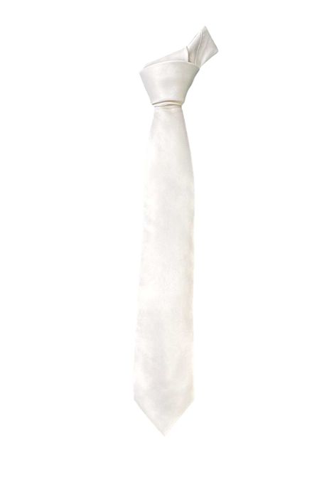 Cravatta Napoleone Barba  in Seta Pura NAPOLEONE BARBA | Cravatte | CRAVATTABIANCO